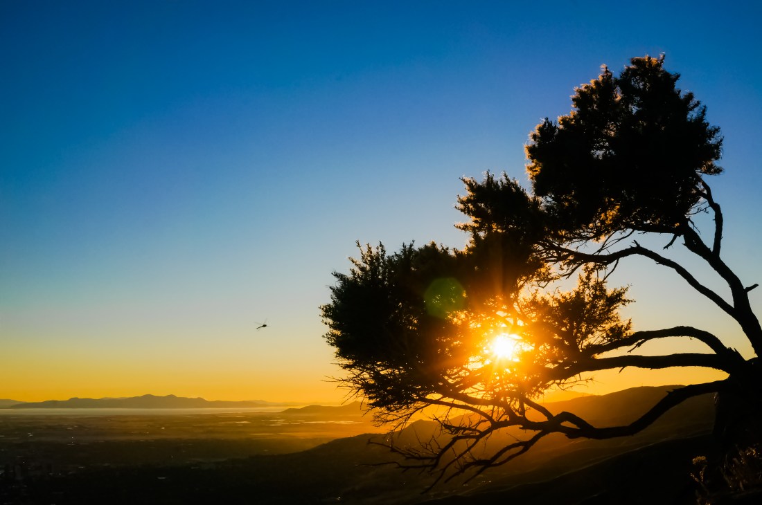 29473972824_c0c9617fb1_o